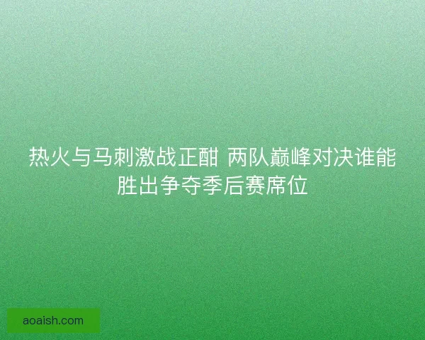 热火与马刺激战正酣 两队巅峰对决谁能胜出争夺季后赛席位